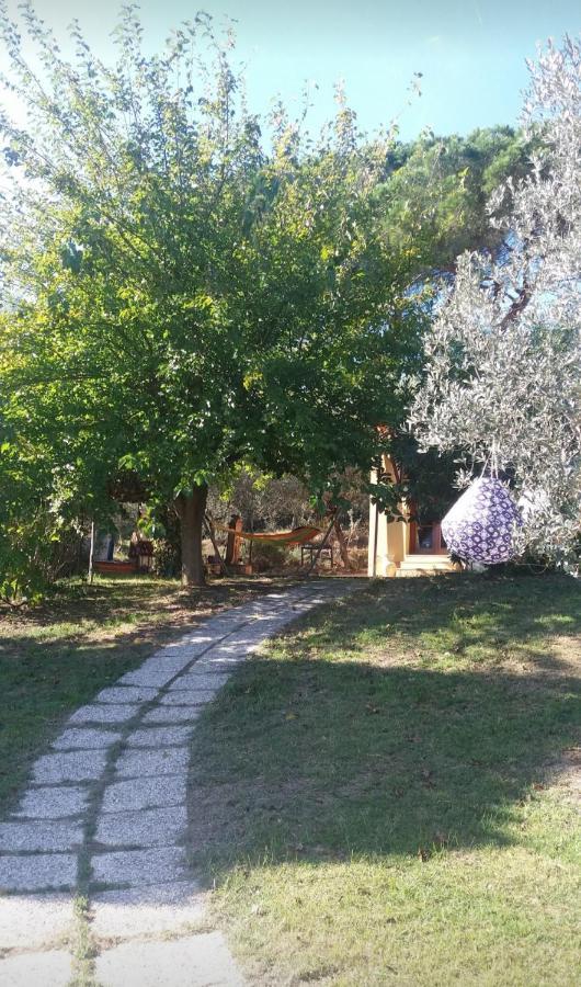 Casa Gelsomino Apartman Scandicci Kültér fotó